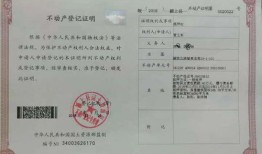 房产证更名法院怎么执行(房产证更名法院怎么执行的)