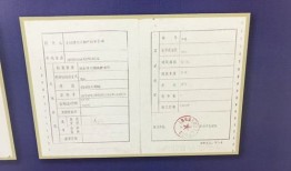 带房产证房源怎么查(带房产证房源怎么查真假)