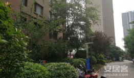 宝龙房产档次怎么样(宝龙房地产 口碑)
