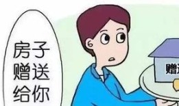 老人要过户房产怎么办(老人要过户房产怎么办手续)