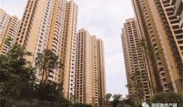 信丰大地房产怎么样啊(信丰大地房产怎么样啊值得买吗)