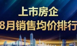 新世界房产思维课怎么上(新世界房企)