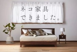 爱友家房产怎么样(爱友家具怎么样)