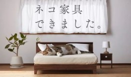 爱友家房产怎么样(爱友家具怎么样)