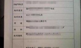 香港户籍怎么查房产证(香港户籍怎么查房产证编号)