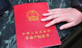 广州房产证怎么查办理(广州如何查询房产证办理进度)