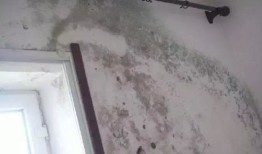 房产不补漏要怎么做(房产不补漏要怎么做防水处理)