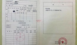 房产证被骗了怎么报警(房产证被骗了怎么办)