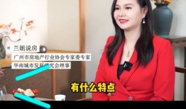 向姐姐说房产怎么说(向姐姐说房产怎么说英语)