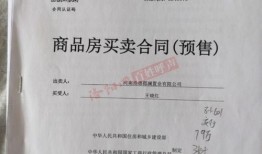双户口名下房产怎么转移(双户口名下房产怎么转移交契税)