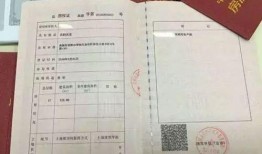 买菜押房产证怎么押(买菜押房产证怎么押的)