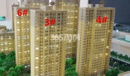瑞安精英房产怎么样啊(瑞安精英网)