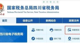 共享财税房产税怎么申报(共享财税房产税怎么申报缴纳)