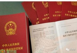押房产证还钱怎么操作(押房产证还钱怎么操作手续)