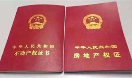 重庆父亲房产过户怎么办理(重庆父亲房产过户怎么办理手续)