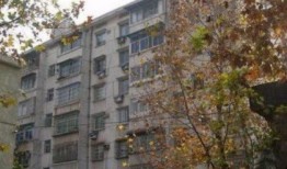 新村房产分期怎么办理的(新村房屋)