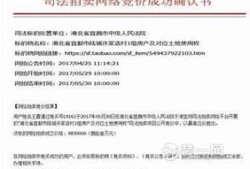 法院拍卖房产费怎么收(法院拍卖房子拍卖费应该谁出)