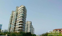 上海临港房产怎么样(上海临港房子怎么样)