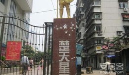 武汉星科房产怎么样(武汉星科房地产开发有限公司怎么样)