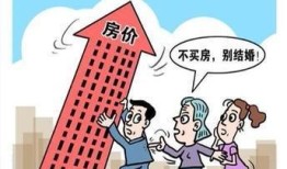 没有钱怎么实缴房产税(没有房产税是什么意思)