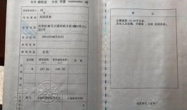 房产证上怎么划分份额(房产证上怎么写份额)