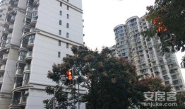 世家房产中介怎么样(世家地产中介咋样)