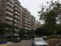龙岗阿莲房产怎么样(龙岗阿莲房产怎么样啊)
