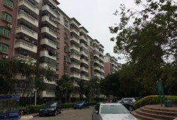 龙岗阿莲房产怎么样(龙岗阿莲房产怎么样啊)