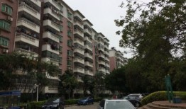 龙岗阿莲房产怎么样(龙岗阿莲房产怎么样啊)