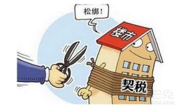 怎么看交了多少房产契税(怎么看自己交了多少契税)