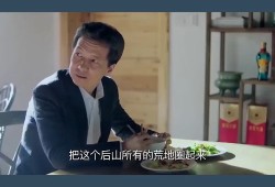 房产老总打业主怎么办(房产老总打业主怎么办呢)