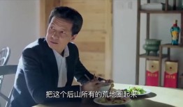 房产老总打业主怎么办(房产老总打业主怎么办呢)