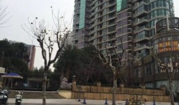 滨江房产看房怎么样(滨江房产看房怎么样啊)