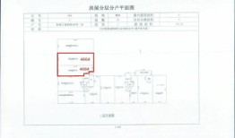怎么看商铺是商业房产(怎么确定以及商铺的性质)