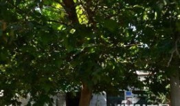平阴房产市场怎么样啊(平阴房源)