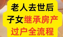一个死了怎么继承房产(一个人死了遗产分配)