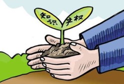 联合受让房产税怎么算(联合产权是什么意思)