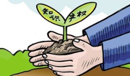 联合受让房产税怎么算(联合产权是什么意思)