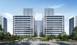 孟定房产行情怎么样(孟定镇房价)