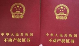 房产过户增值税怎么收(房产过户增值税怎么收的)