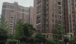 怀化阿伟房产怎么样(怀化阿伟房产怎么样知乎)