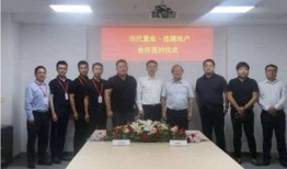 文安房产置业顾问怎么样(文安房地产开发有限公司)
