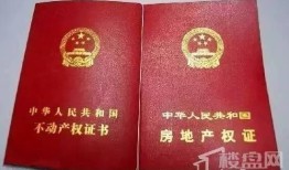 房产证析产怎么复印原件(房产证析产需要什么材料)