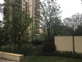 北戴河阿伟房产怎么样(北戴河阿娜亚房价)