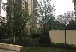 北戴河阿伟房产怎么样(北戴河阿娜亚房价)