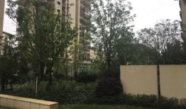 北戴河阿伟房产怎么样(北戴河阿娜亚房价)