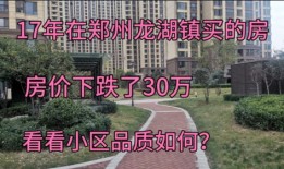龙湖的房产质量怎么样(龙湖的房子属于什么档次)