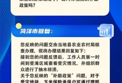 社保 抵房产税怎么申请(社保如何抵税)