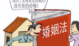 包工头的房产怎么分配(包工头的房产怎么分配比较合理)