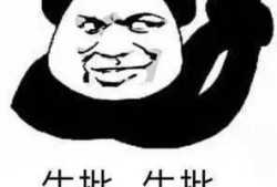 伪造手续过户房产怎么办(伪造手续过户房产怎么办理)